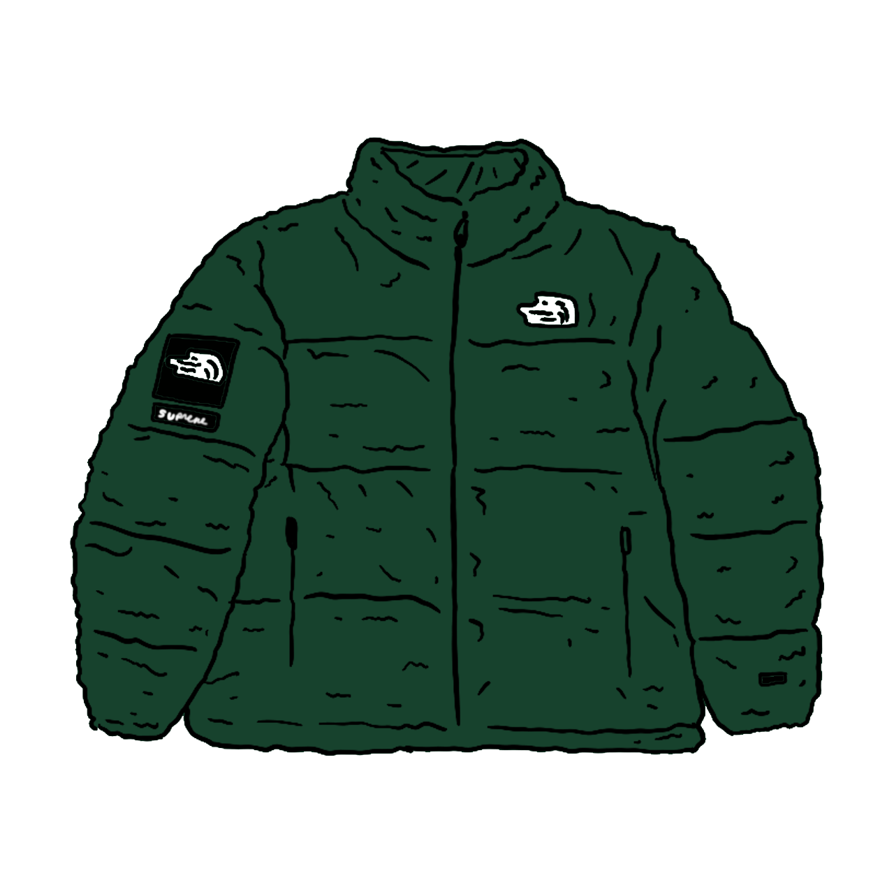 Pre-owned Supreme  The North Face Faux Fur Nuptse Jacket Green