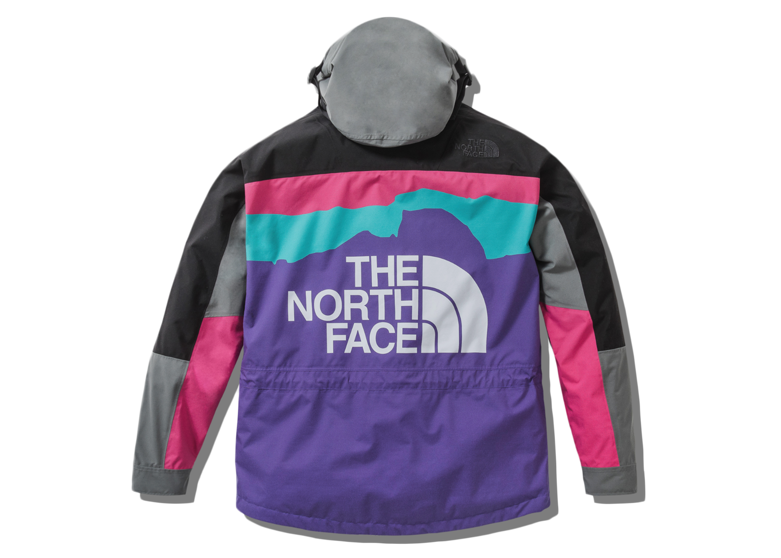 Pre-owned The North Face  X Invincible 1994 Retro Mountain Light Jacket Multi