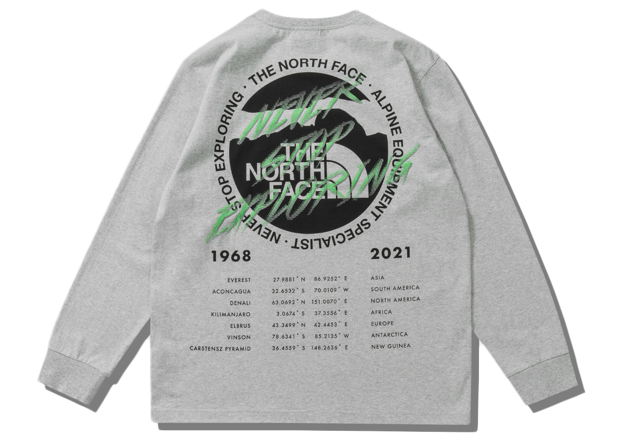 Pre-owned The North Face X Invincible Half Dome Graphic L/s T-shirt Grey